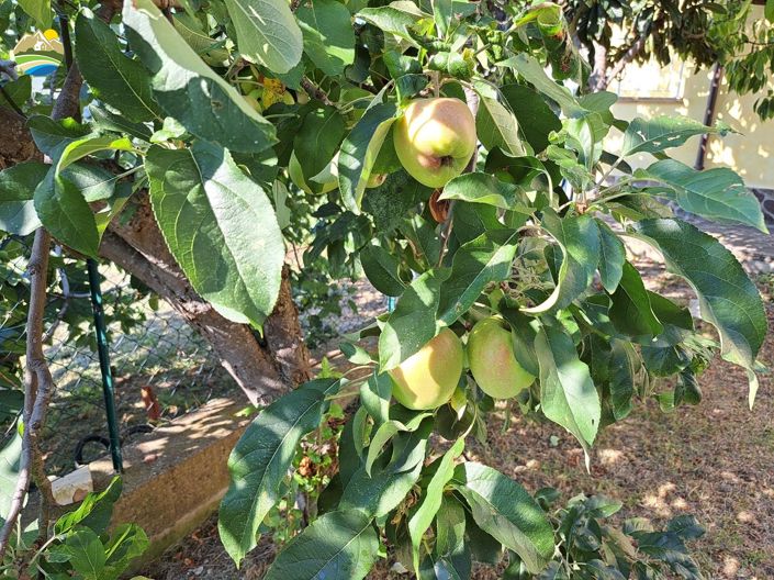 Image No.35-8 Bed Villa for sale