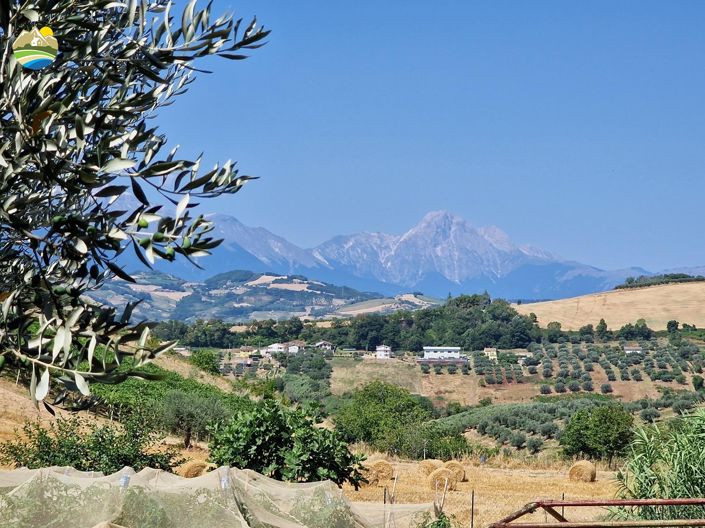 Image No.13-3 Bed Country House for sale