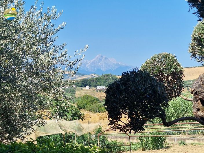 Image No.17-3 Bed Country House for sale