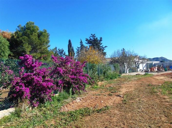 Image No.20-3 Bed Country House for sale