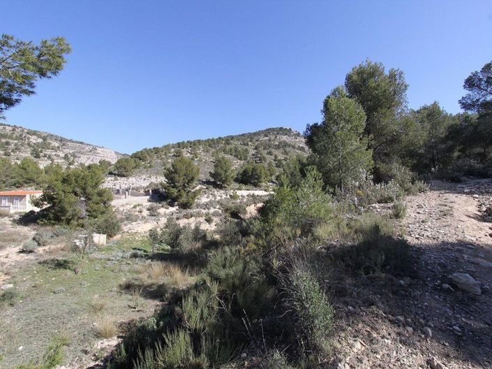 Image No.8-3 Bed Villa for sale