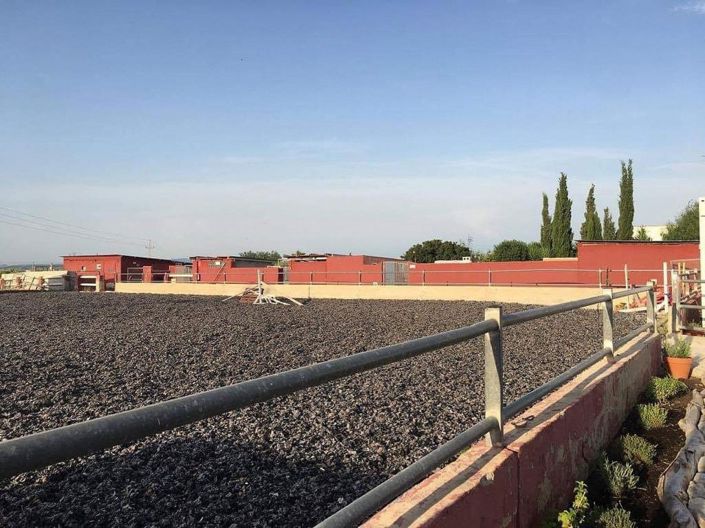 Image No.11-12 Bed Commercial for sale