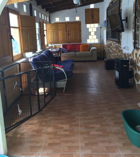 Image No.32-12 Bed Commercial for sale