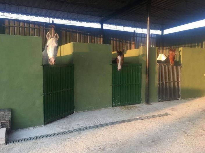 Image No.8-12 Bed Commercial for sale