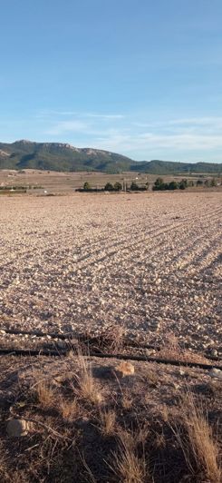 Image No.4-Land for sale