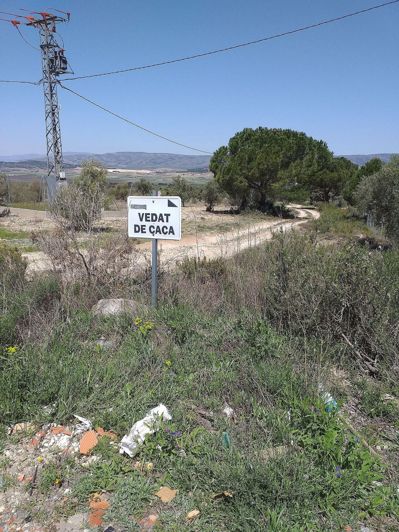 Image No.4-Land for sale
