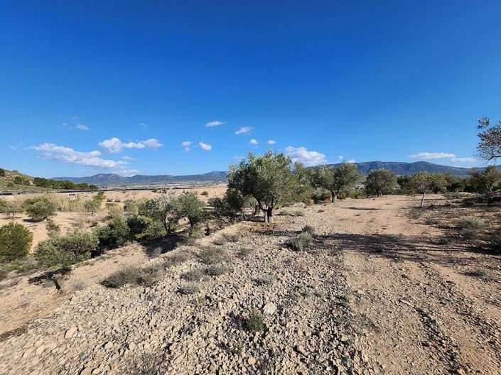 Image No.12-1 Bed Country House for sale