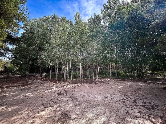 Image No.11-Country House for sale