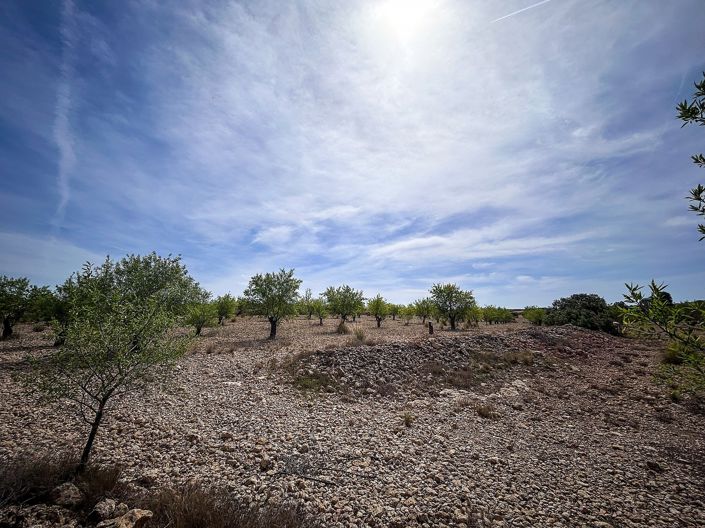 Image No.30-Country House for sale