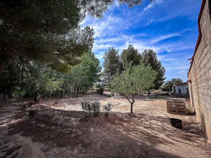 Image No.6-Country House for sale