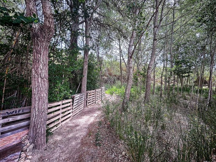 Image No.8-Country House for sale