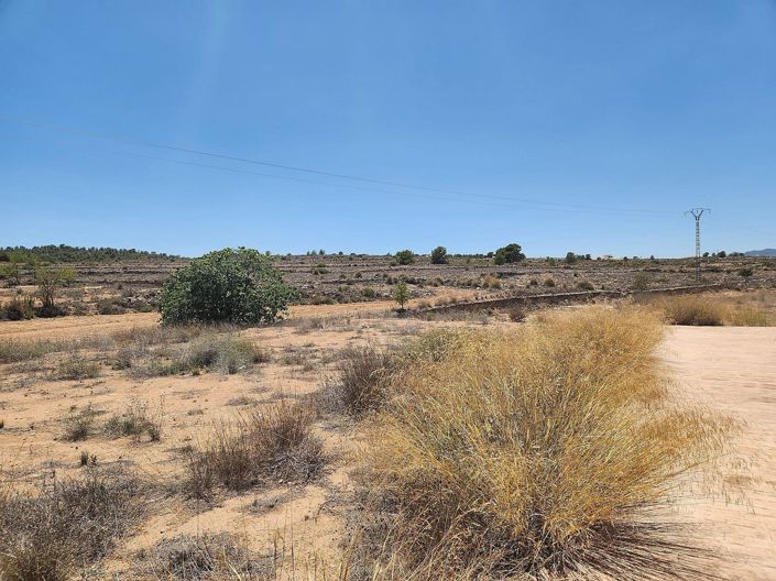 Image No.6-2 Bed Villa for sale