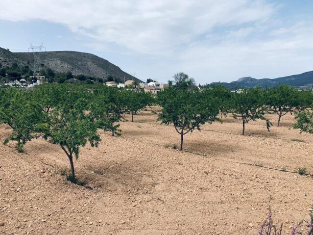 Image No.3-Land for sale