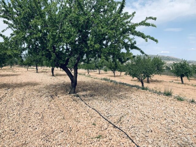 Image No.12-Land for sale