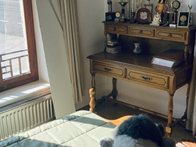 Image No.17-9 Bed Villa for sale