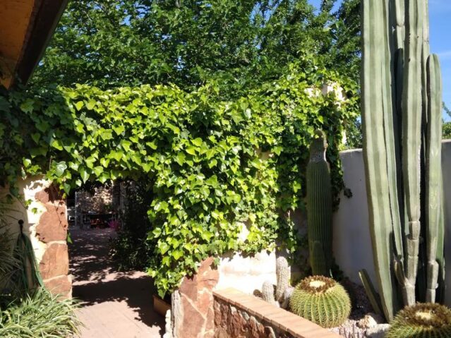 Image No.17-6 Bed Villa for sale