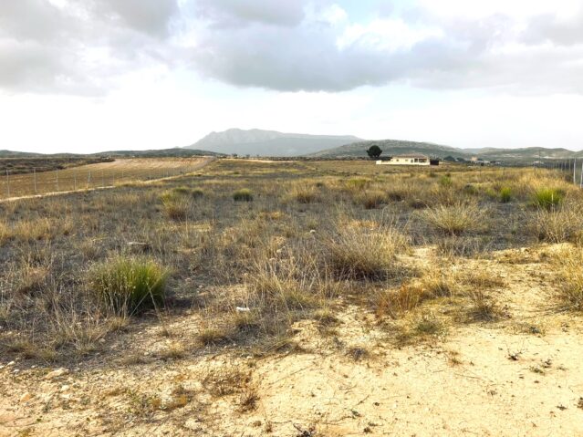 Image No.1-Land for sale
