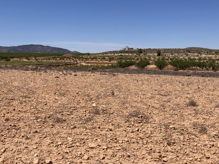 Image No.3-Land for sale