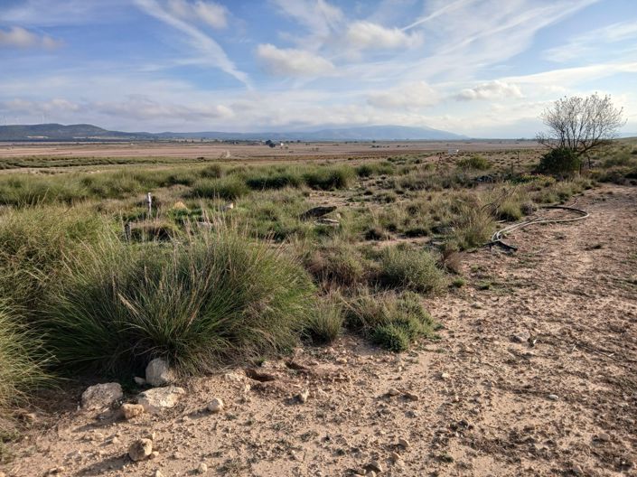 Image No.4-Land for sale