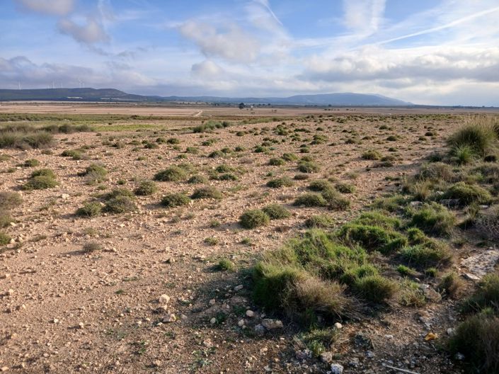 Image No.5-Land for sale