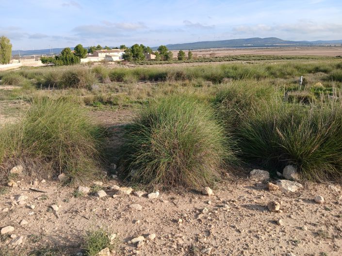 Image No.6-Land for sale