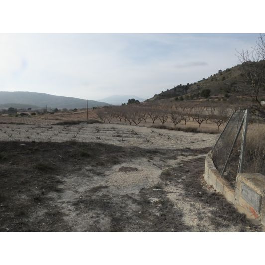 Image No.2-2 Bed House for sale