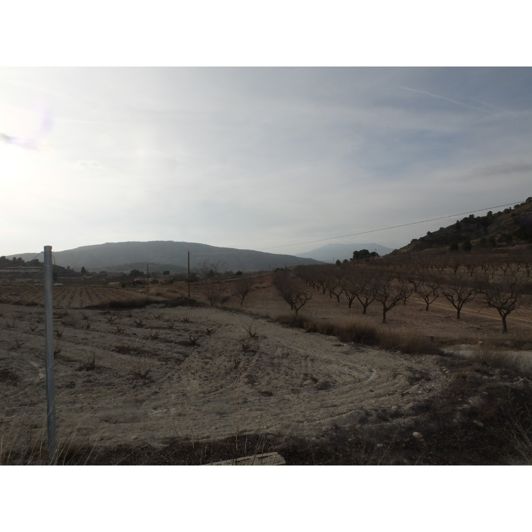 Image No.5-2 Bed House for sale