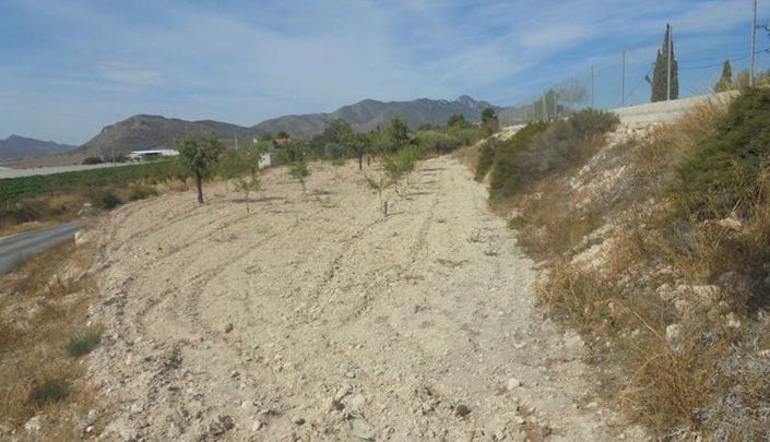 Image No.11-6 Bed Country House for sale