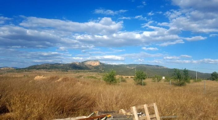 Image No.3-Land for sale