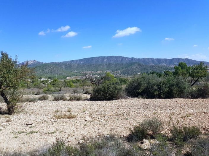 Image No.1-Land for sale
