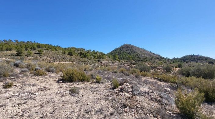 Image No.3-Land for sale