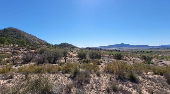 Image No.4-Land for sale