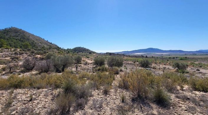 Image No.8-Land for sale