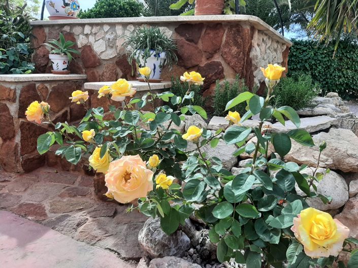 Image No.7-6 Bed Villa for sale