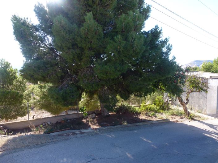 Image No.4-3 Bed Country House for sale