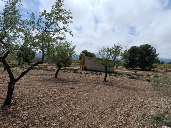 Image No.10-Land for sale