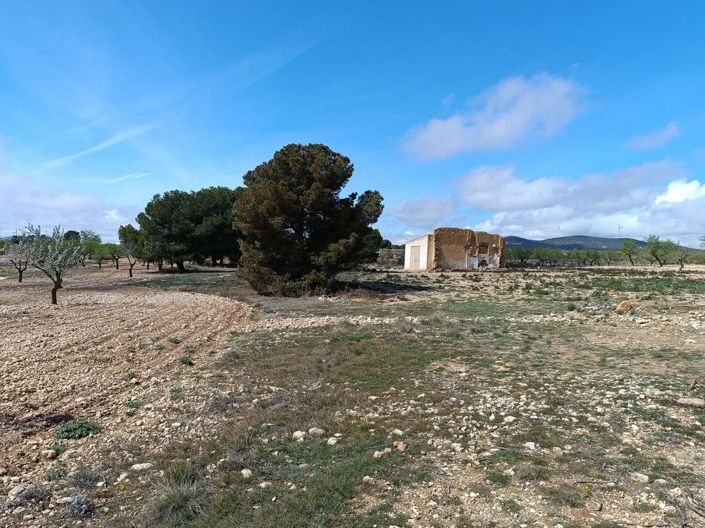 Image No.11-Land for sale