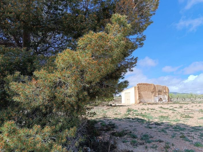 Image No.12-Land for sale