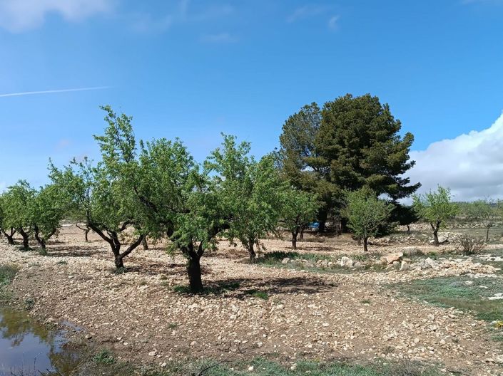 Image No.14-Land for sale