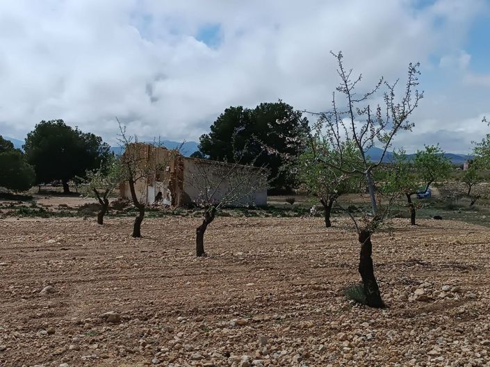 Image No.15-Land for sale