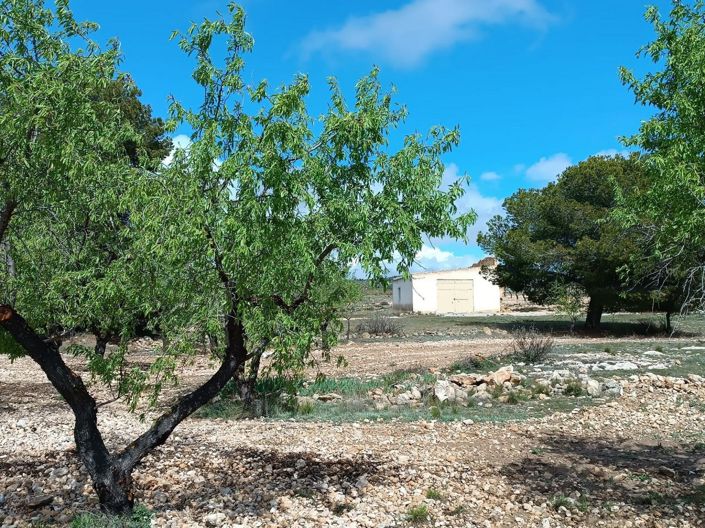 Image No.16-Land for sale