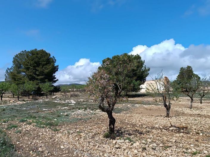 Image No.19-Land for sale