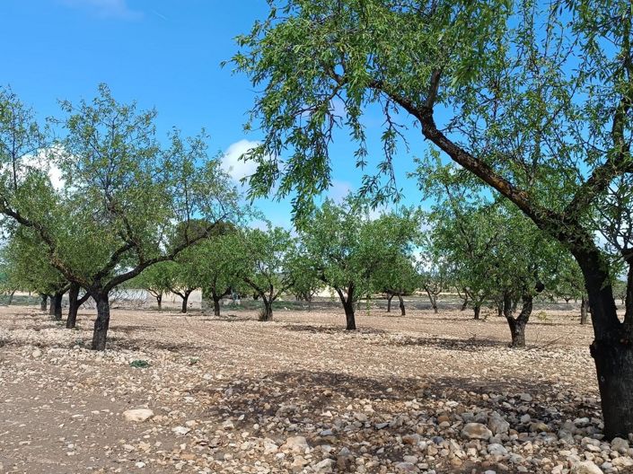 Image No.21-Land for sale