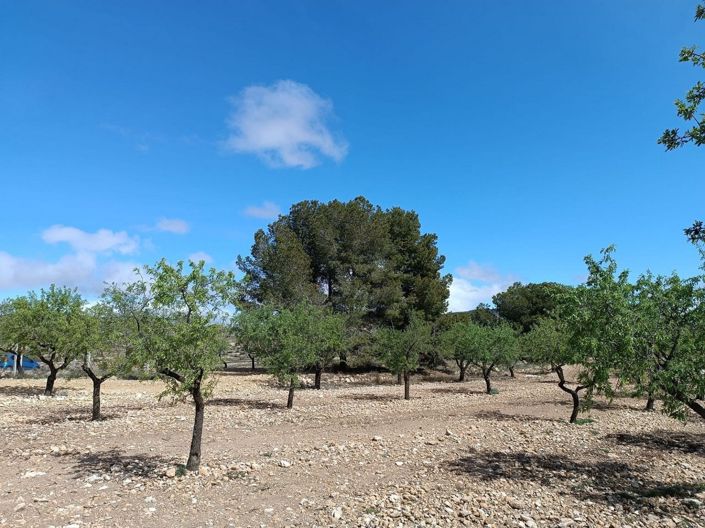 Image No.22-Land for sale