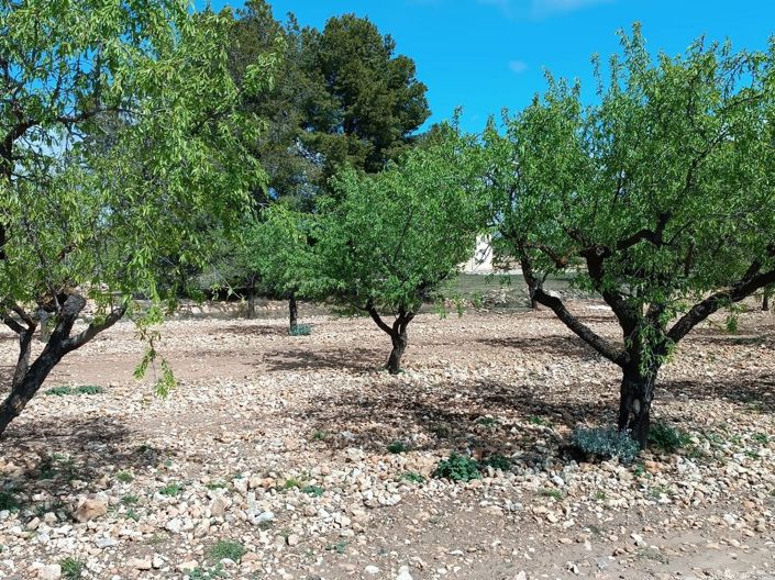 Image No.24-Land for sale