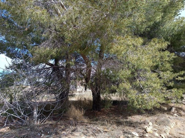 Image No.5-Land for sale