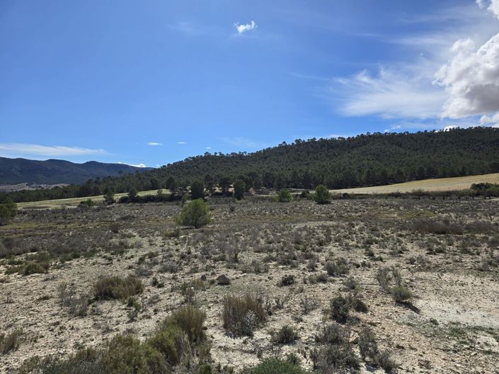 Image No.2-Land for sale