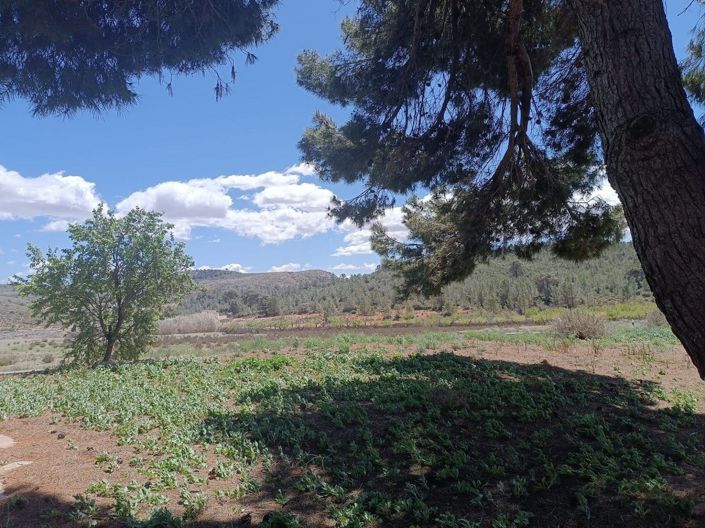 Image No.2-6 Bed Country House for sale