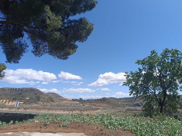 Image No.5-6 Bed Country House for sale