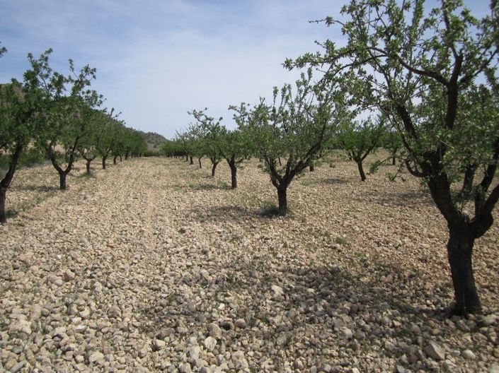 Image No.2-Land for sale